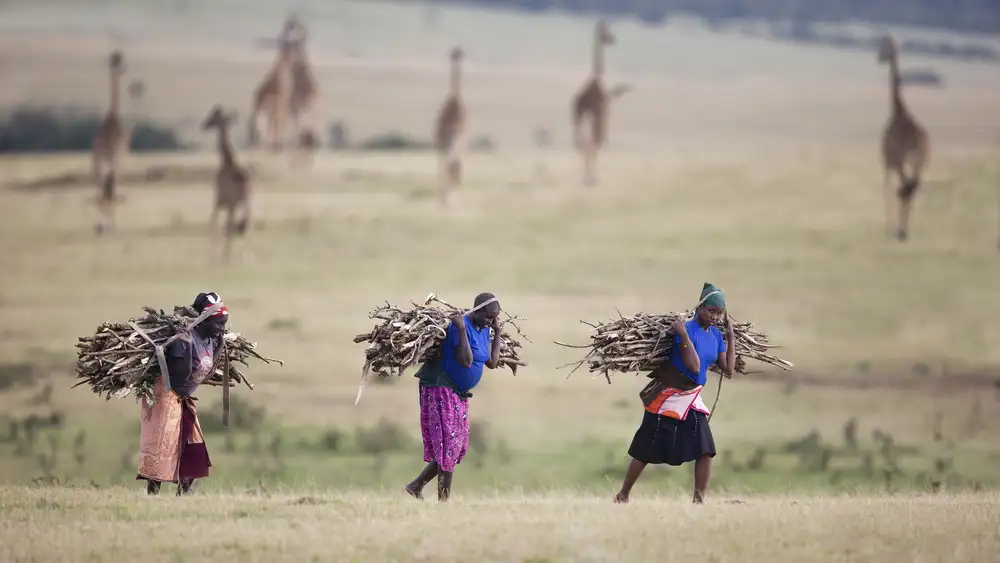 Chang, Phillip: Working in wildlife