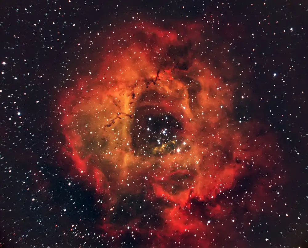 dem, Auf Andrea: La rosa nel cielo