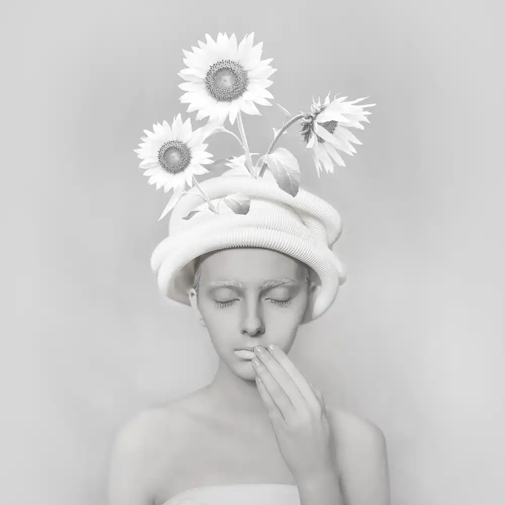 hardibudi: The Lost Sunflower