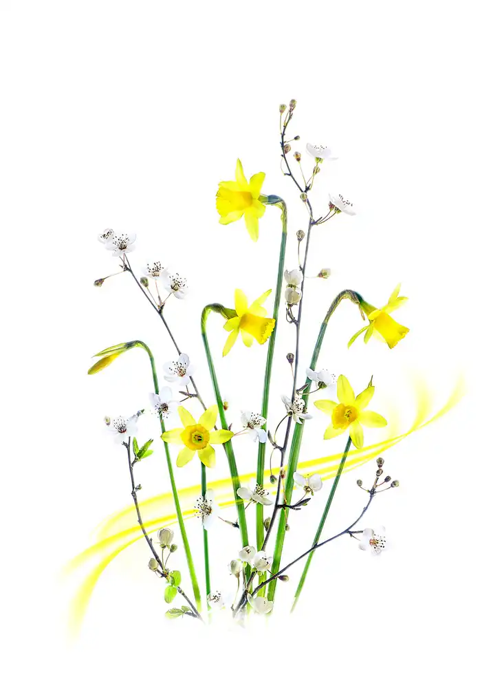 Parker, Jacky: Einfach Frühling