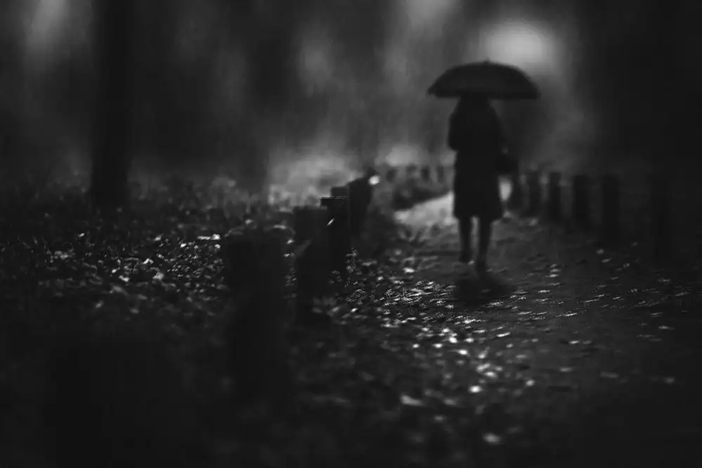 Tsuchida, Teruhiko: pluie