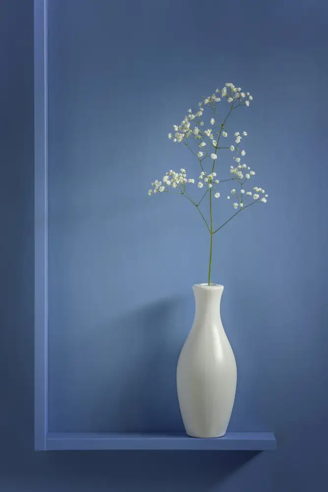 Clough, Stephen: Simplicity