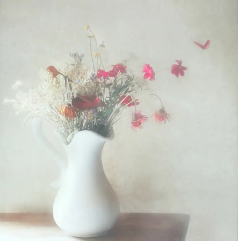 Devos, Delphine: A Bunch of Flowers