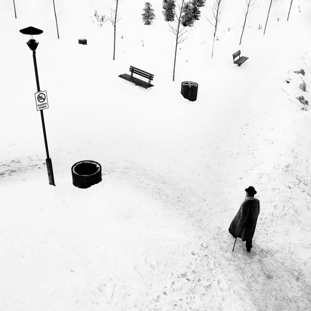 Cinteza, Marius: Snow walker