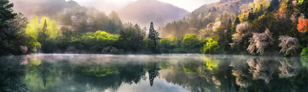 Seo, Tiger: Morning calm