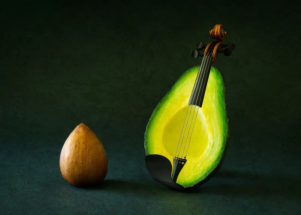 Hammer, Jacqueline: Un violino