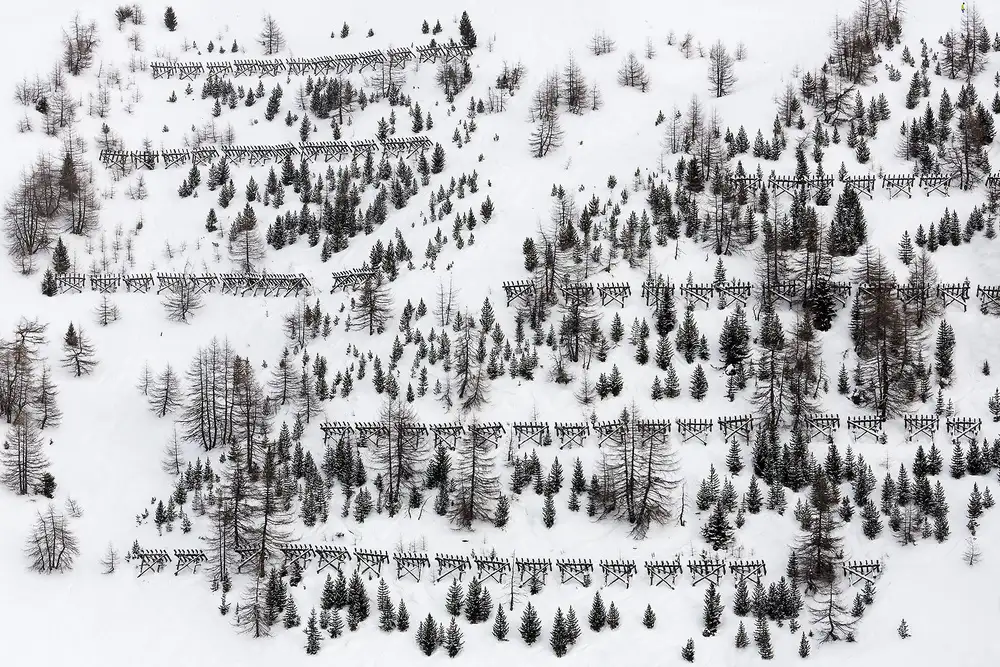 Hermann, Uschi: alberi invernali