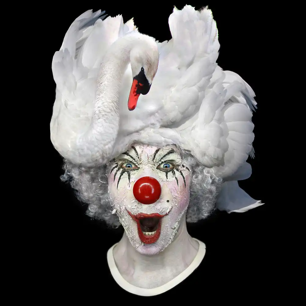 DDiArte: cisne clwon