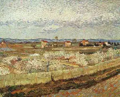 Gogh, Vincent van: Fleur de pêcher