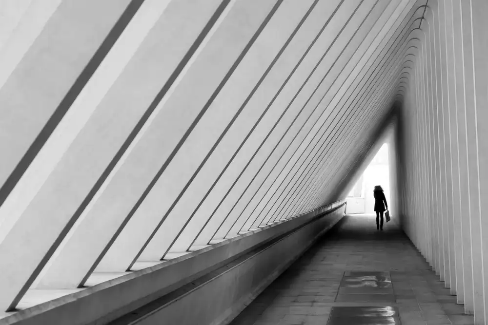 Joosten, Lus: the white exit