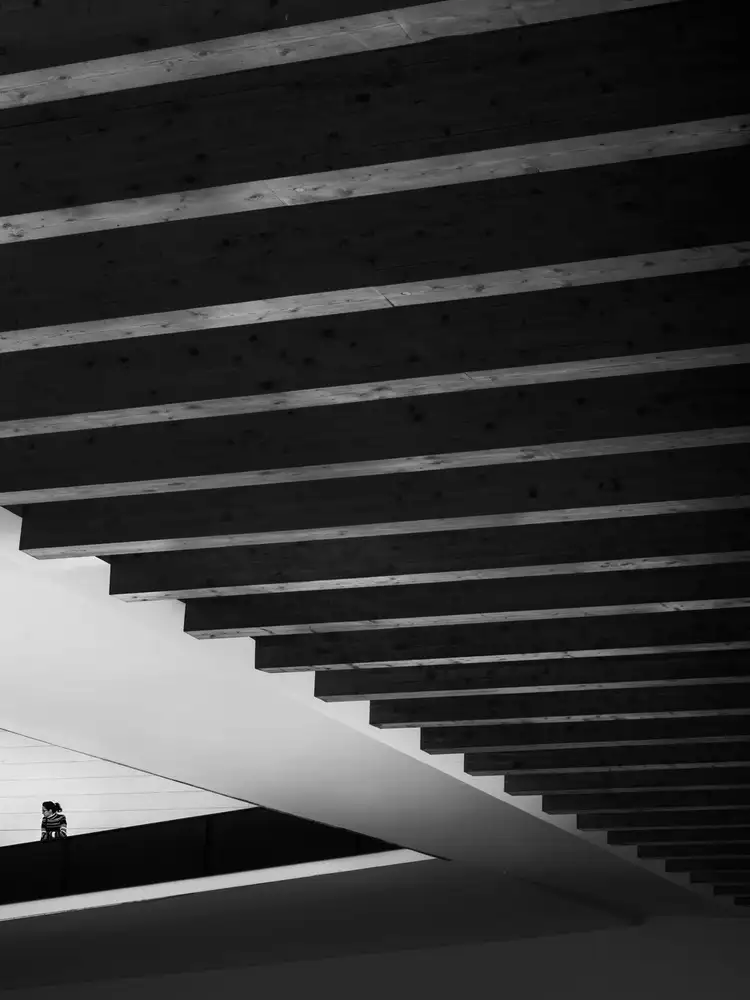 Mexia, Laura: Obsession