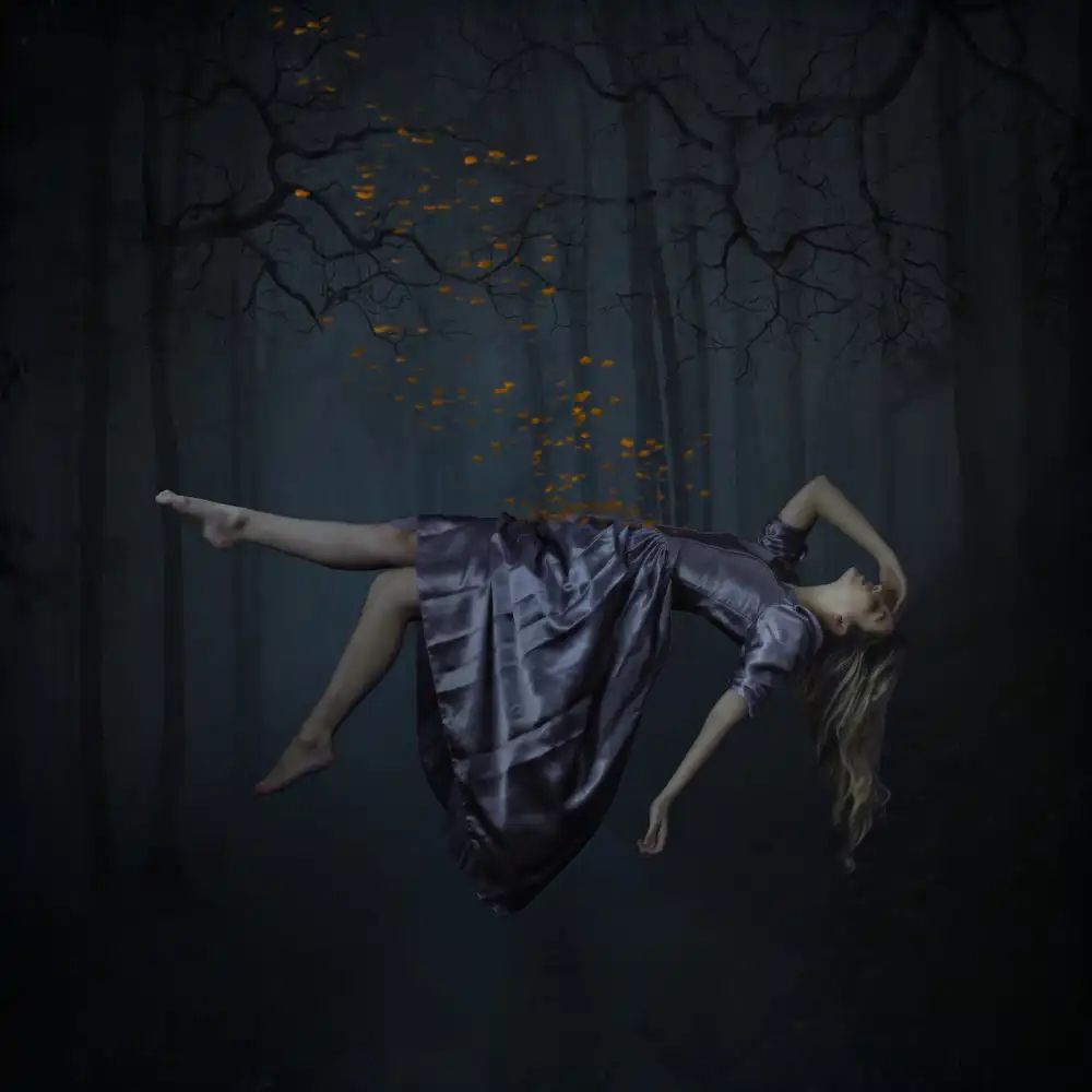 Studio, Catchlight: Blue Forest