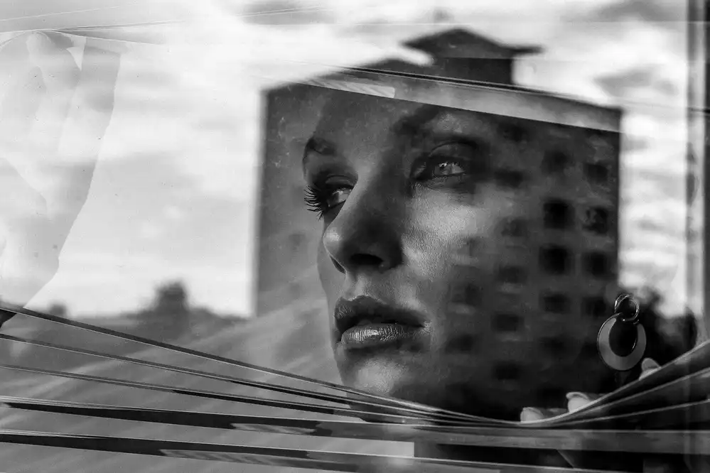 Krystynek, Martin: Fenster