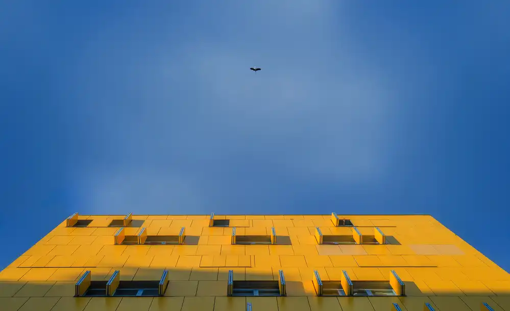 Osuna, Fran: Looking at the sky