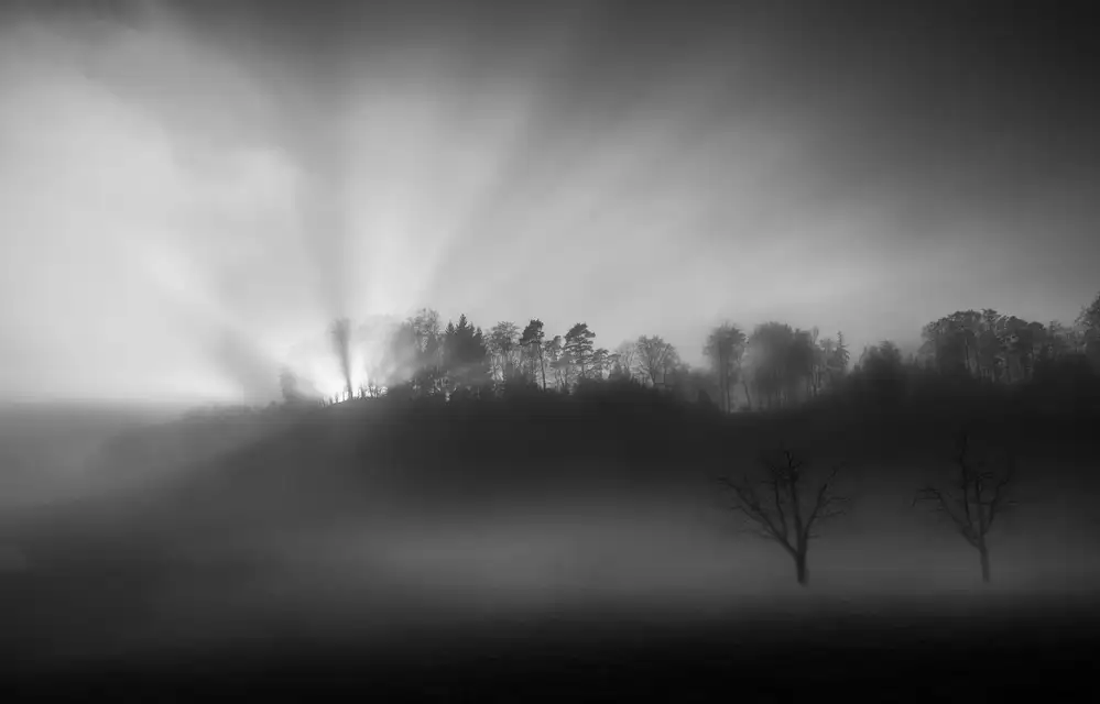 Keller, Nic: The sun in the fog