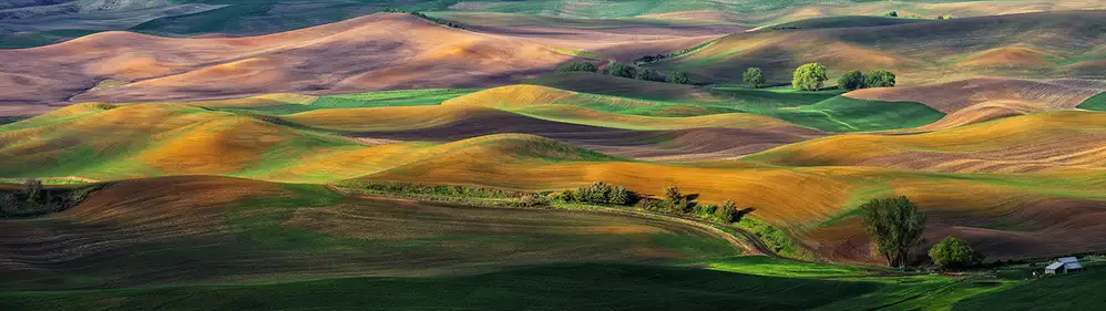 Zhu, Hua: The Palouse
