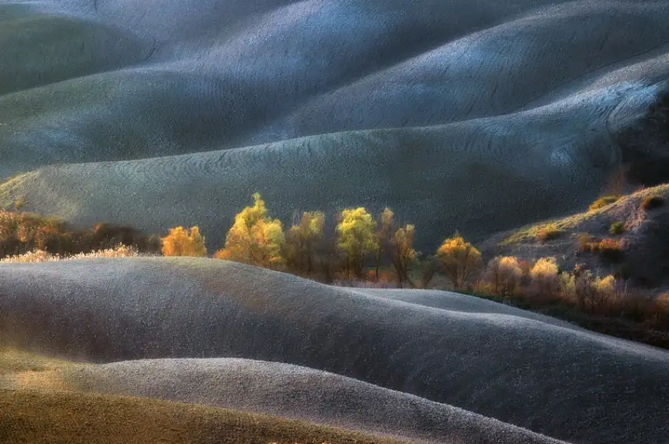 Kravanja, Jure: Dreamland