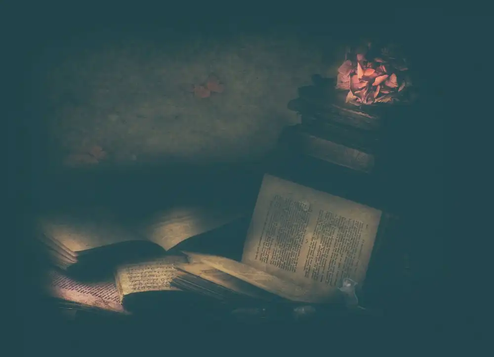 Devos, Delphine: Drei kleine Mäuse