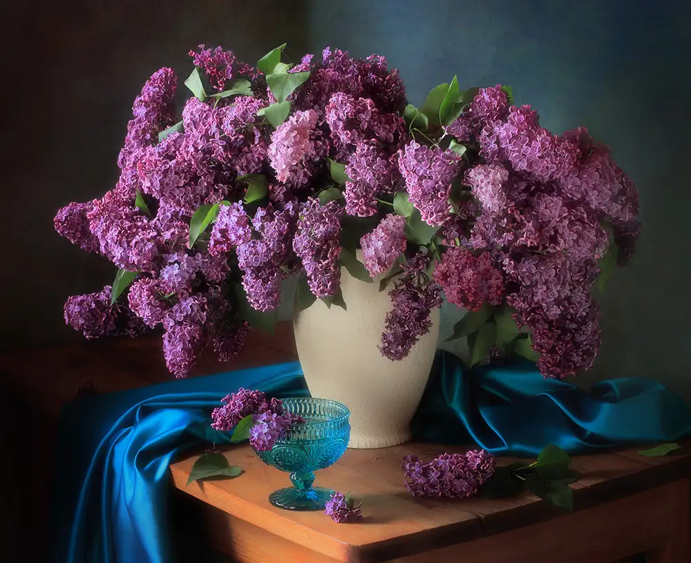 Skorokhod, Tatyana: Still life with fragrant lilac