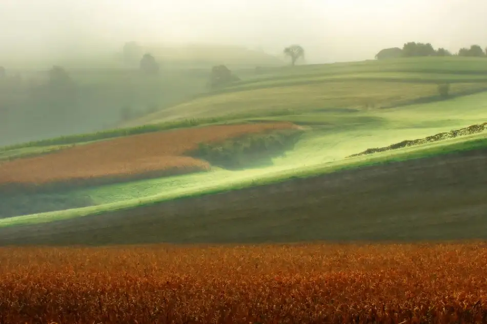 Kravanja, Jure: Dreamland II.