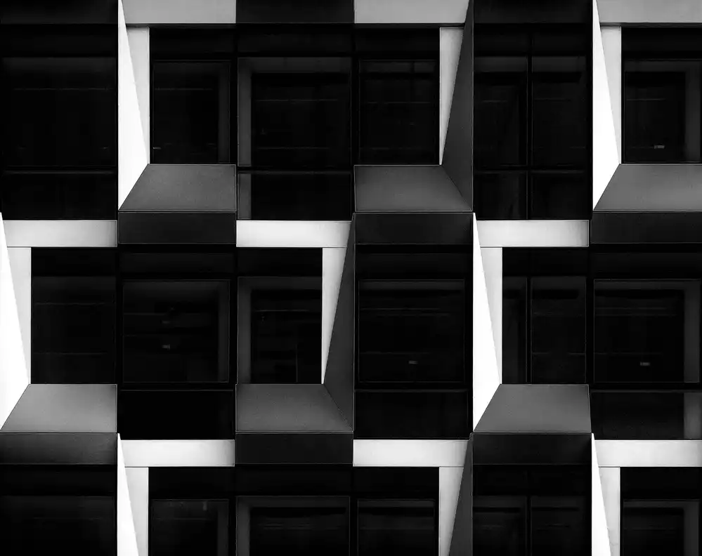 Maastricht, van Henk: Bianco e nero