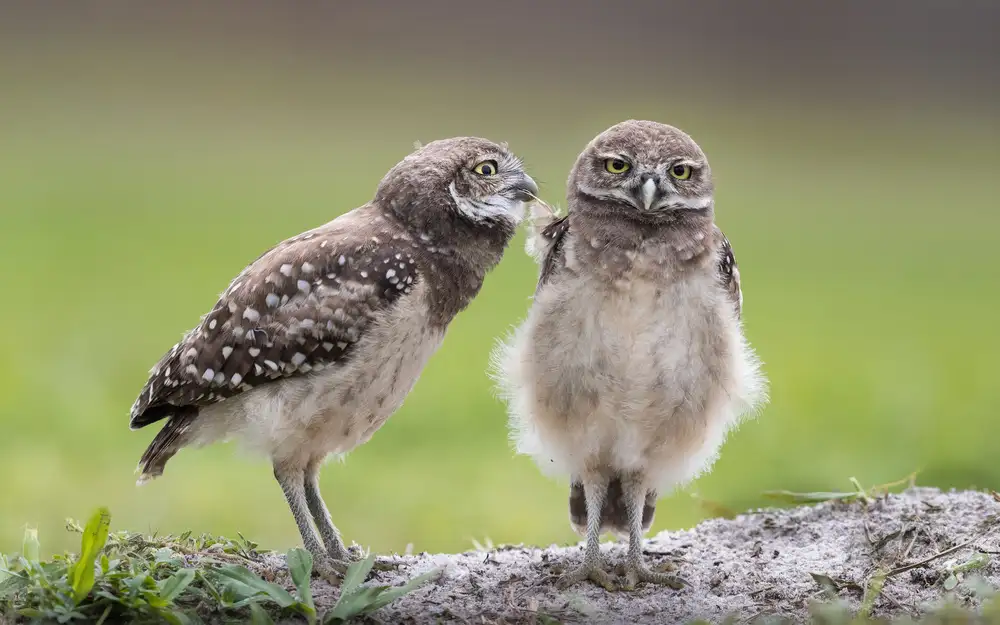 Barsh, Greg: Leave me alone!