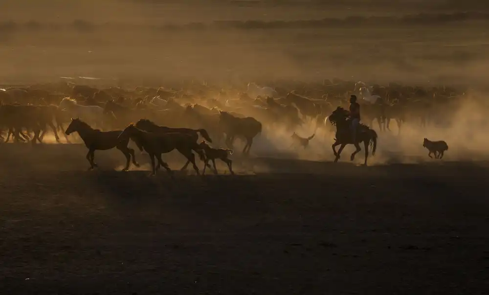 Sahin, Ramiz: Hermoso El País de los Caballos