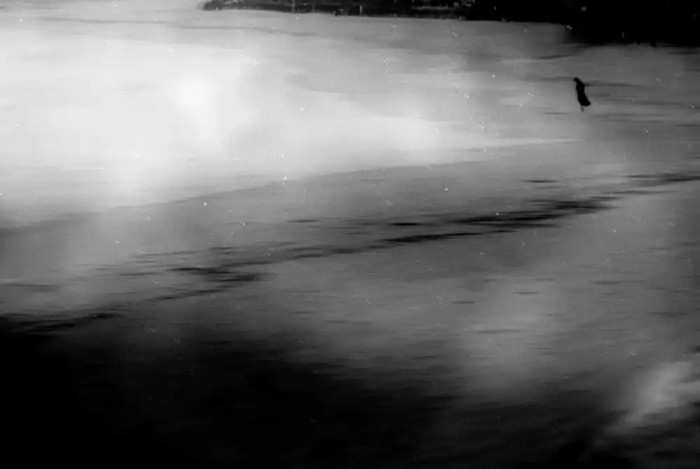 Seita, Milena: Oceano Mare