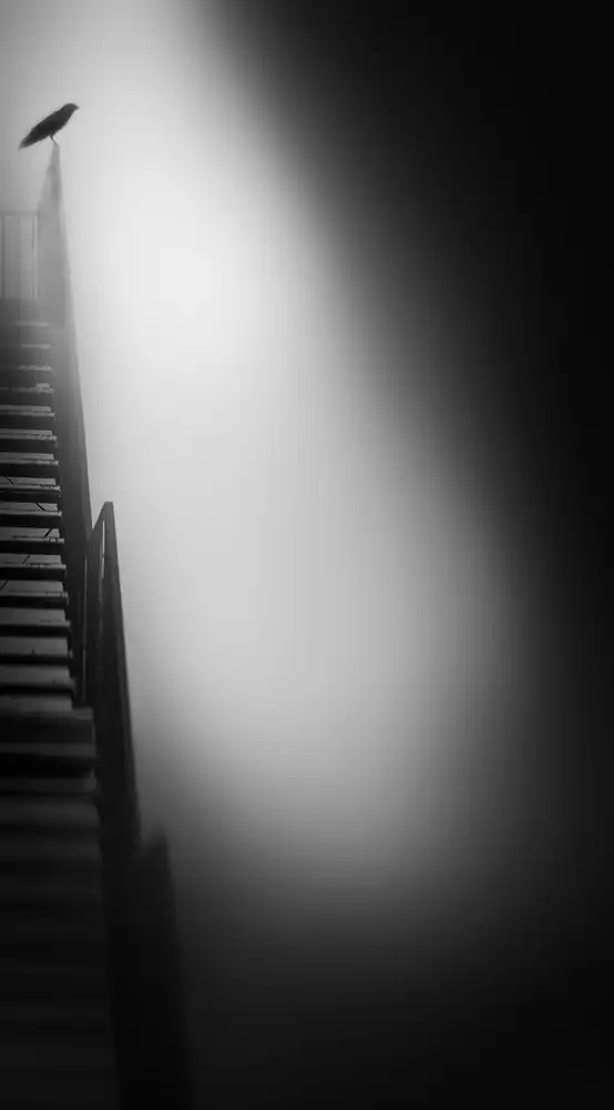 Keller, Nic: stairway to heaven