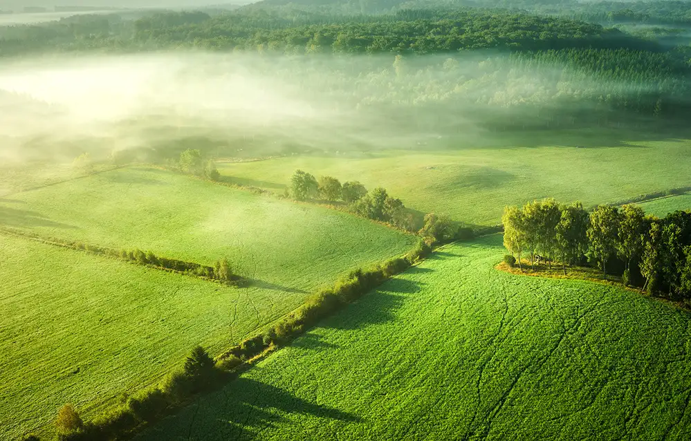keller: Above the mist