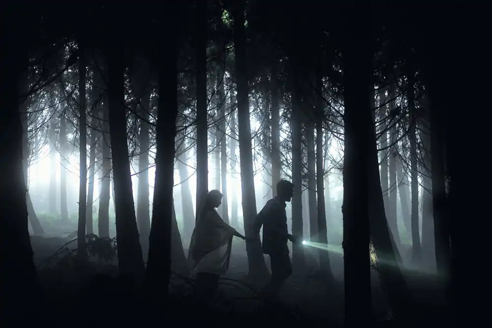 Caria, Rui: Dark forest