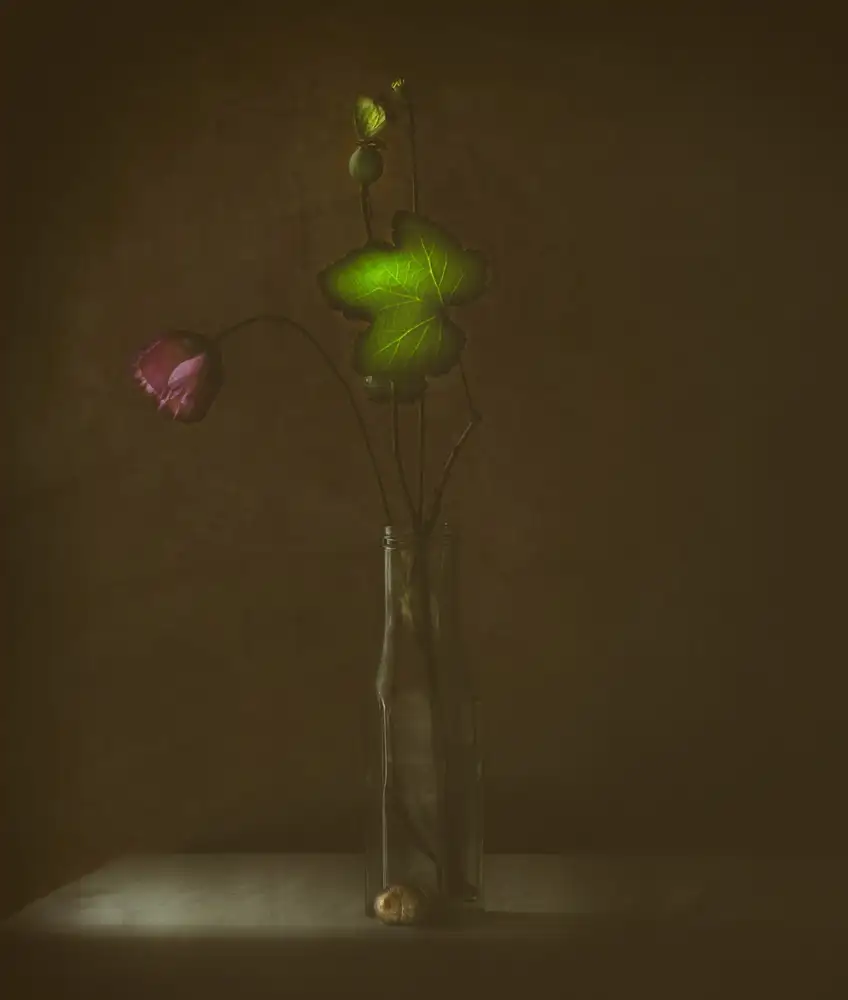 Devos, Delphine: The Green Leaf