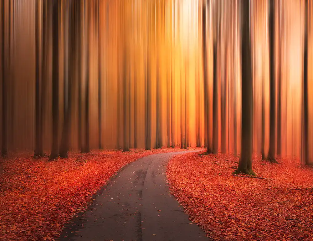 Lindsten, Christian: Path to unknown