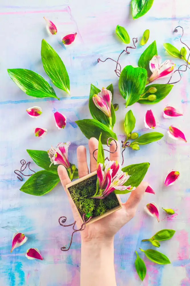 Belenko, Dina: Hand full of spring