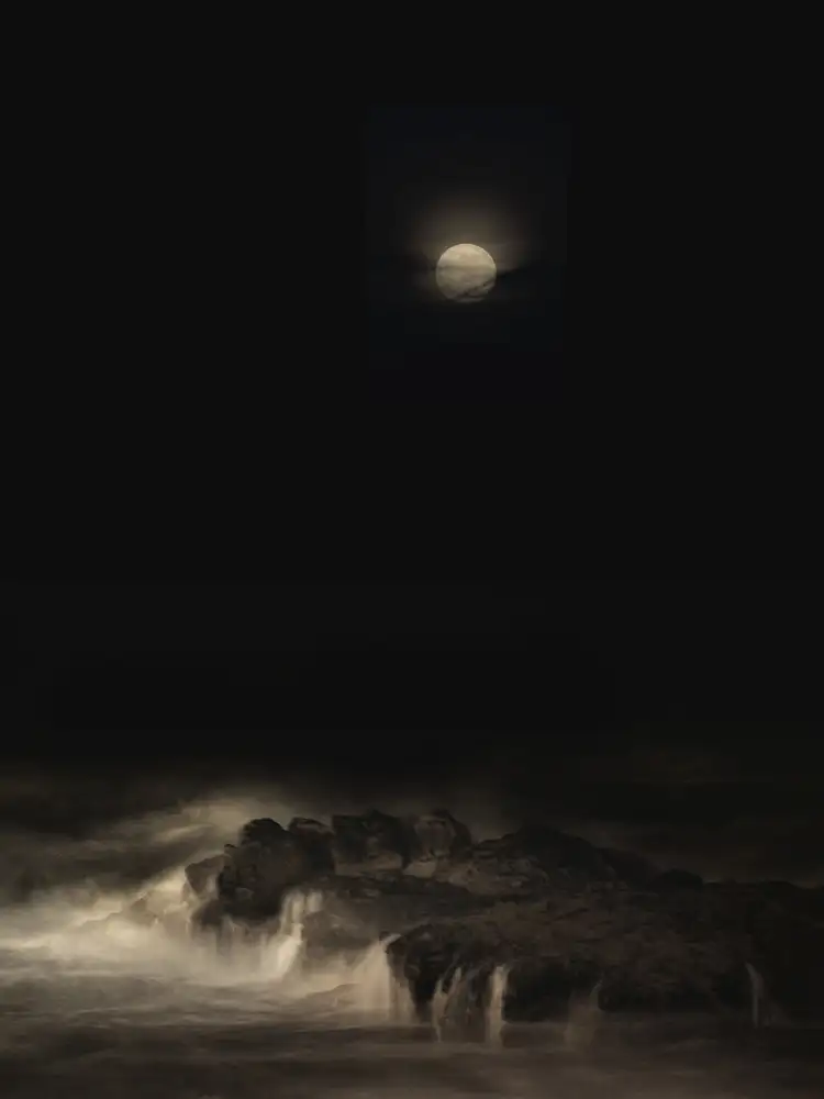 Hummel, Jeffrey: sea of shadows