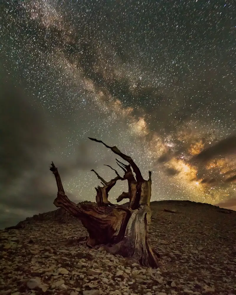 Poreider, Annie: La Via Lattea arriva alla Montagna Bianca
