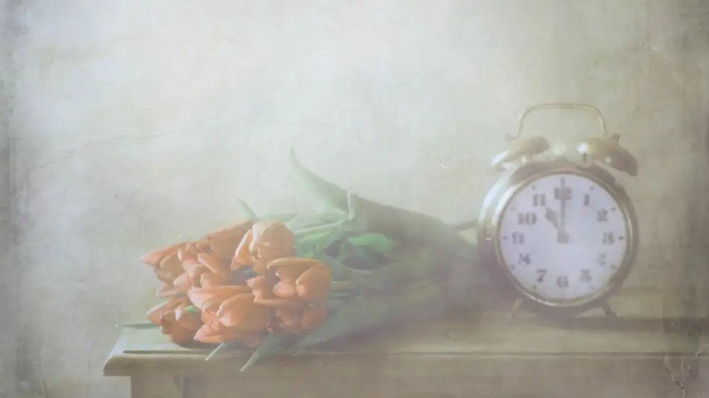 Devos, Delphine: Red Tulips