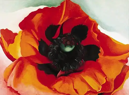 Keeffe, Georgia: Poppy