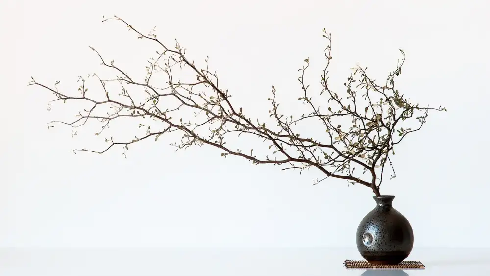 prbimages: Vase And Branch