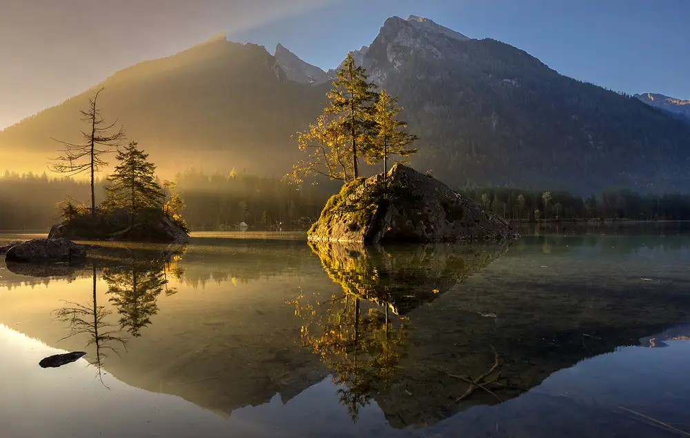keller: Golden Morning
