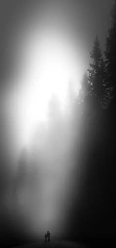 Keller, Nic: Walking in the forest