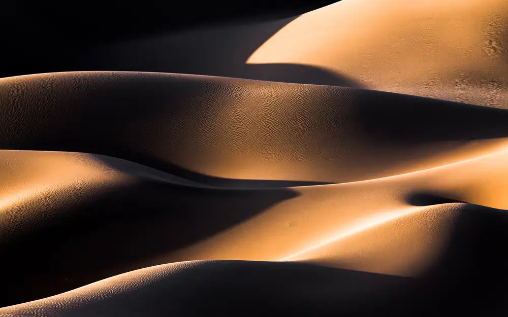 Momeni, Mohammadreza: Wave