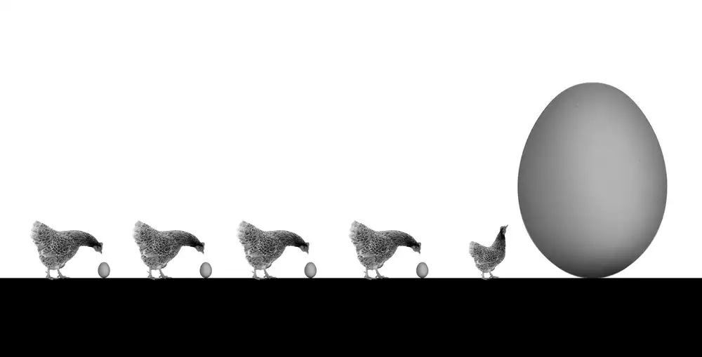 Humusak: hens