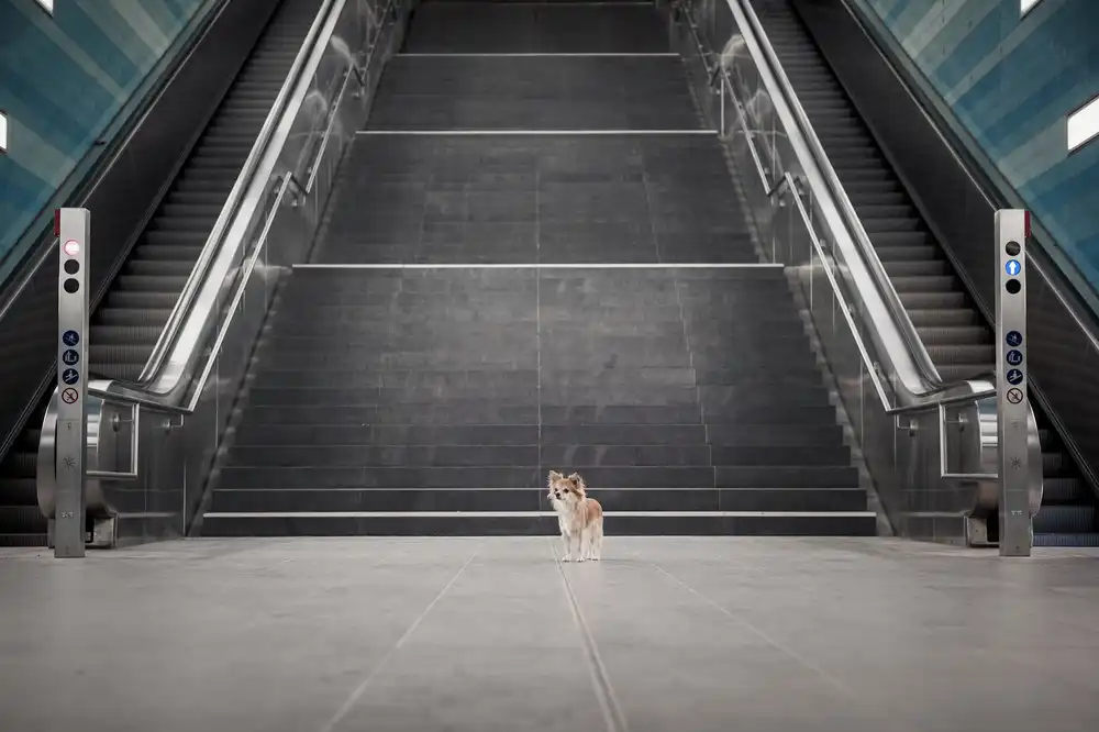 Willers, Heike: Minimalismus II.