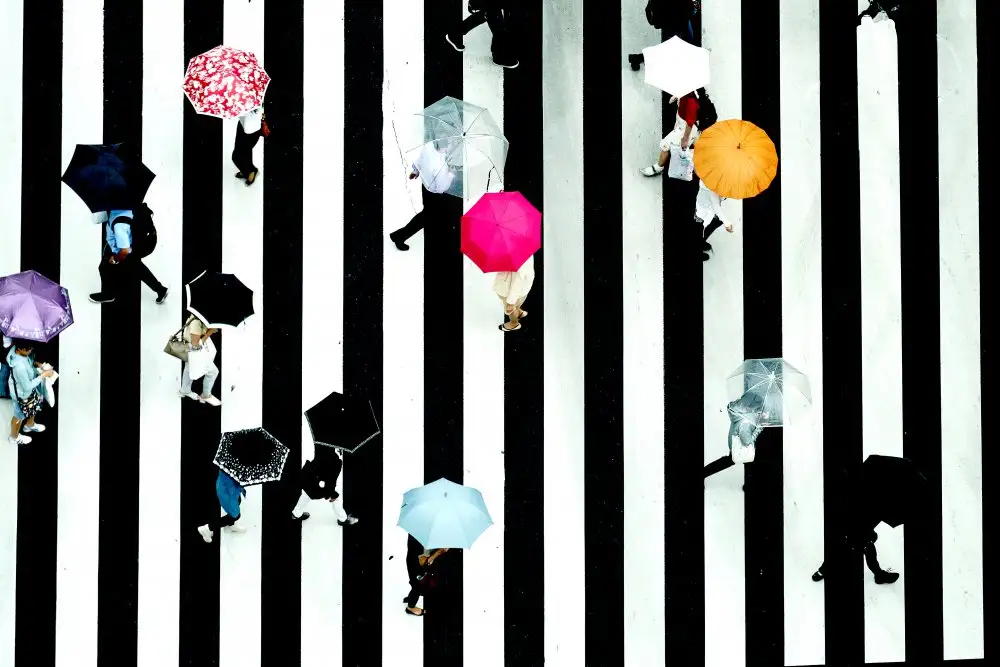 Nishikura, Makoto: crossing