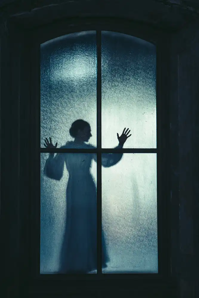 Russocka, Magdalena: The window