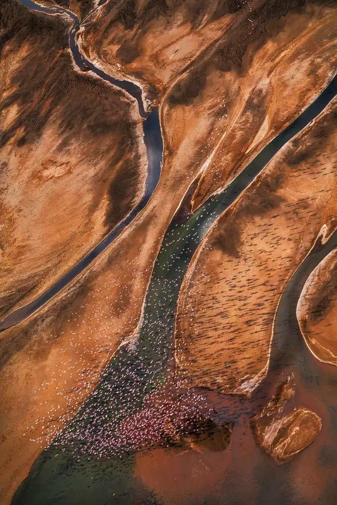 Fan, John: Volando sobre paleta