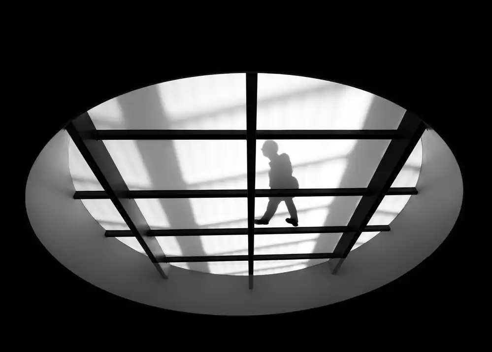 Staelens, Christophe: The stranger