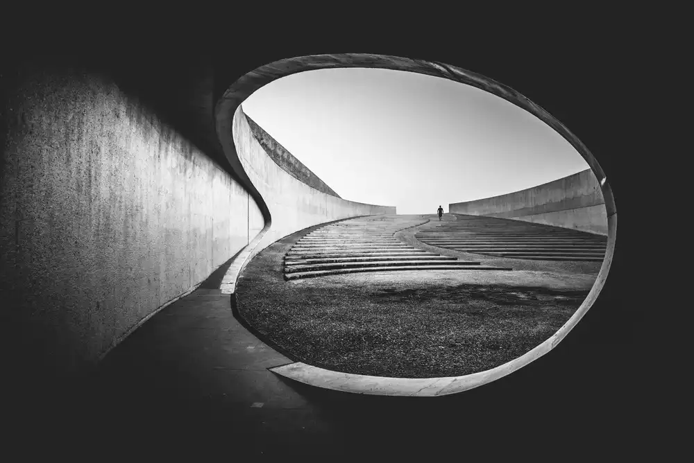 Staelens, Christophe: The search