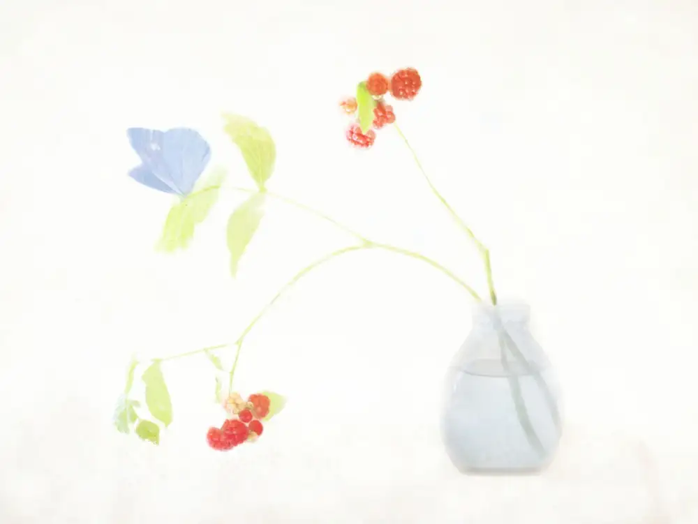 Devos, Delphine: botanický